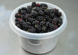 2 ripe mulberries 6-30-17